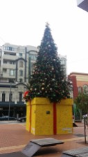The only evidence of festive cheer in Welly